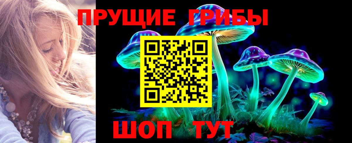 Галлюциногенные грибы прущие грибы Дагестанские Огни