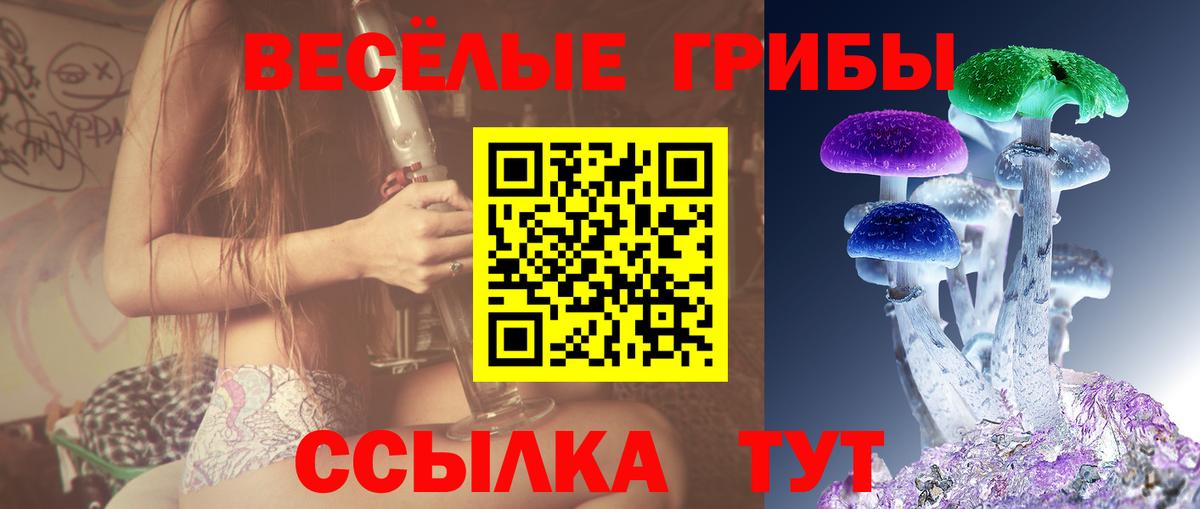 Дагестанские Огни  Псилоцибиновые грибы мицелий  Вход с VPN 